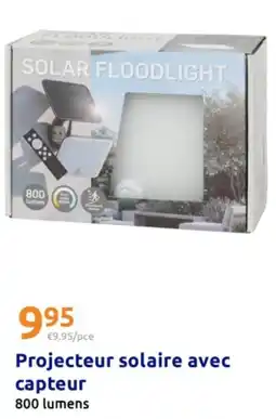 Action Projecteur solaire avec capteur offre