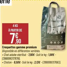 Bricorama PREMIUM REGULIER offre