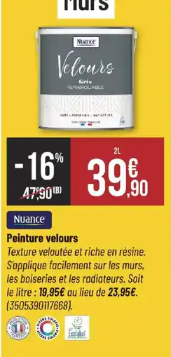Bricorama Nuance Peinture velours offre