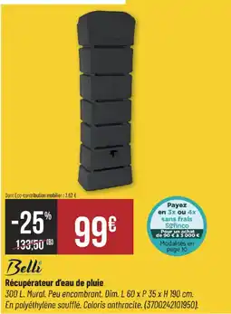 Bricorama Belli Récupérateur d'eau de pluie offre