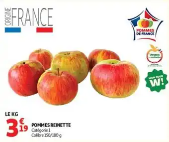 POMMES REINETTE