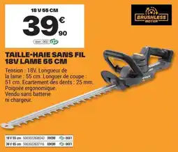 Brico Dépôt TITAN Taille-haie sans fil offre