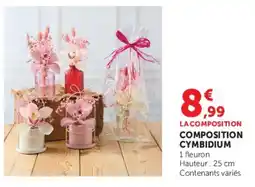 Hyper U COMPOSITION CYMBIDIUM offre