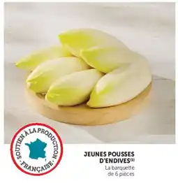 Hyper U JEUNES POUSSES D'ENDIVES offre