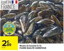 Carrefour Moules de bouchot S.T.G. offre