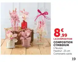 Super U LA COMPOSITION COMPOSITION CYMBIDIUM offre