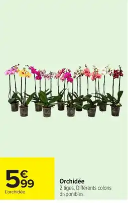 Carrefour L'orchidée offre