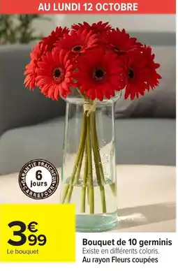 Carrefour Bouquet de 10 germinis offre