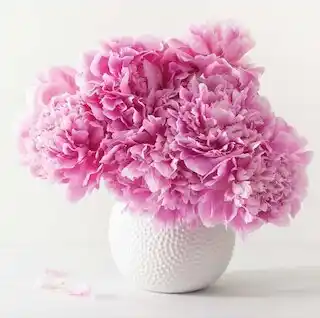 Auchan BOUQUET DE 5 PIVOINES offre