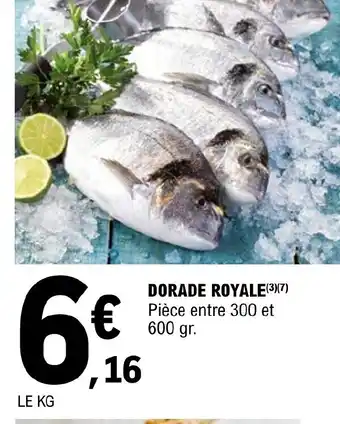 E.Leclerc Dorade Royale offre