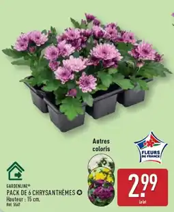 ALDI GARDENLINE PACK DE 6 CHRYSANTHÈMES offre