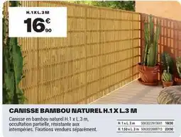 Brico Dépôt 3m - canisse bambou naturel h.i xl.3 m offre