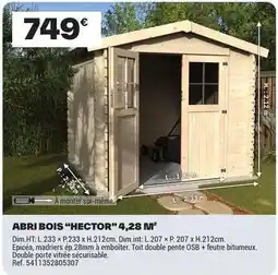Brico Dépôt Abri bois hector 4.28 inv offre