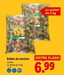 Lidl Bulbes de narcisse offre