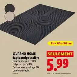 Lidl LIVARNO HOME Tapis antipoussière offre