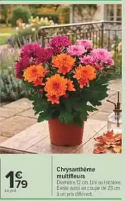 Carrefour Chrysanthème multifleurs offre