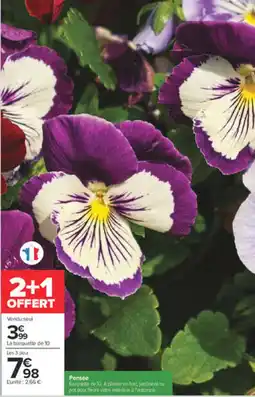 Carrefour Pensée offre