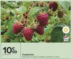 Carrefour Framboisier offre