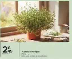 Carrefour Plante aromatique offre