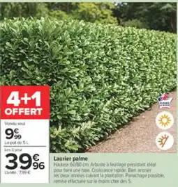 Carrefour Laurier palme offre
