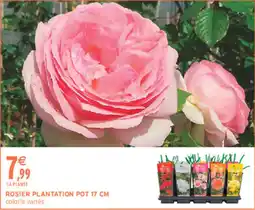 Intermarché Contact Rosier plantation offre