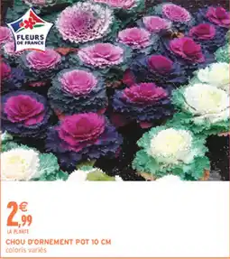 Intermarché Contact FLEURS DE FRANCE CHOU D'ORNEMENT offre