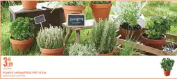 Intermarché Contact PLANTE AROMATIQUE offre