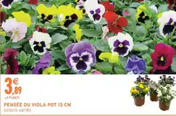 Intermarché Pensée ou viola pot 13 cm offre