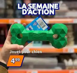 Action Jouet pour chien offre