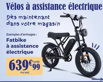 Fatbike à assistance électrique