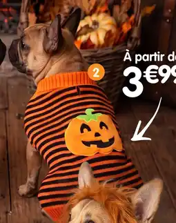 b&m Jouet pour chien - divers modèles offre