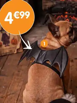 b&m Costume pour chien ailes de chauve-souris offre