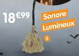 b&m Balai animé led et son offre