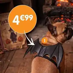 b&m Costume pour chien ailes de chauve-souris offre