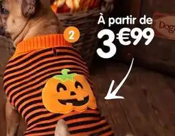 b&m Pull pour chien citrouille offre