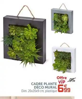 Cadre Plante Dèco Mural