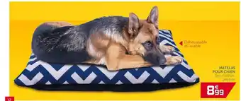 Gifi Matelas Pour Chien offre
