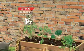 Gifi 10 Tuteurs En Bambou offre