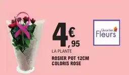 E.Leclerc Rosier pot offre