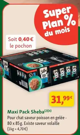 Maxi Zoo Sheba Maxi Pack offre