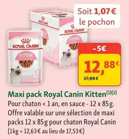 Maxi Zoo Royal Canin Kitten offre