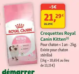 Maxi Zoo Royal Canin Kitten offre