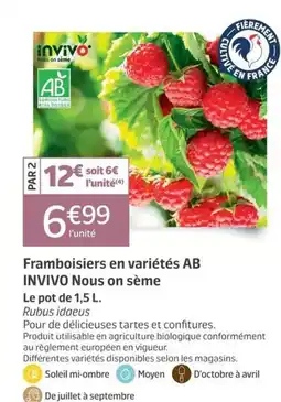 Jardiland INVIVO Framboisiers en variétés AB offre