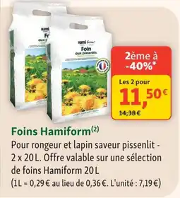 Maxi Zoo Hamiform Foin aux pissenlits offre