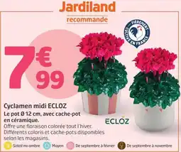 Jardiland ECLOZ Cyclamen midi offre