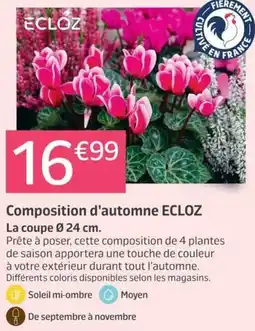 Jardiland ECLOZ Composition d'automne offre