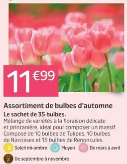 Jardiland Assortiment de bulbes d'automne offre