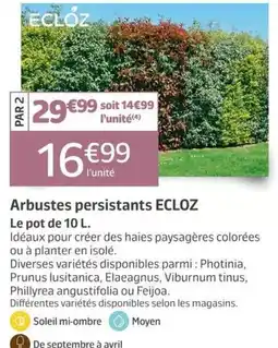 Jardiland ECLOZ Arbustes persistants offre