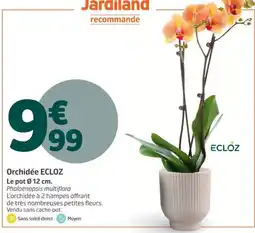Jardiland Ecloz orchidée offre