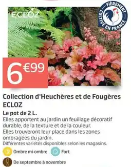 Jardiland ECLOZ Collection d'Heuchères et de Fougères offre